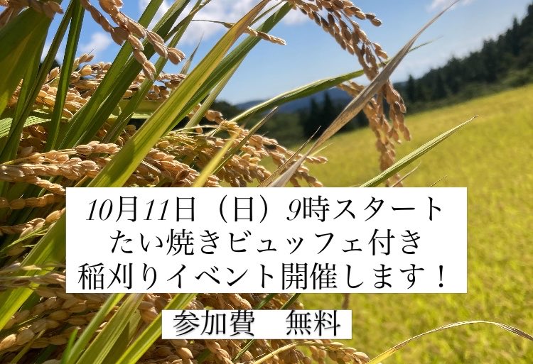 sadokoicha tweet picture