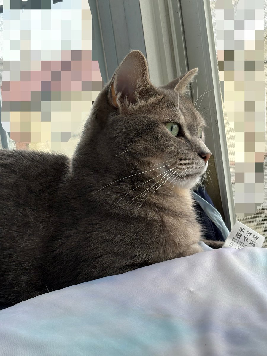 sstori's tweet photo. おはようございます https://t.co/bwCgkSySTe