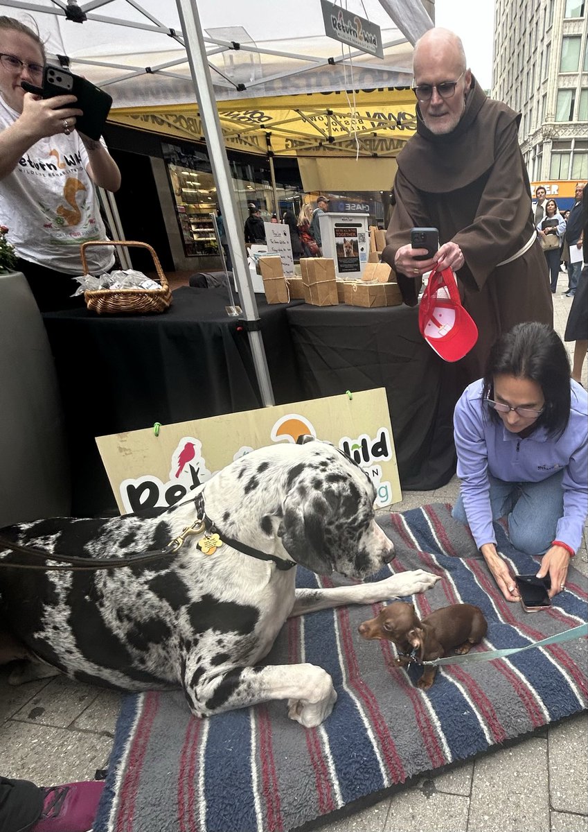 EdforBoston's tweet photo. On the Feast Day of St. Francis of Assisi, we came together at the @ShrineBoston for the annual blessing of the animals. We also sung “Make Me a Channel of Your Peace” to St. Francis,founder of the Franciscan Order,Patron of Italy &amp; also of animals. Pets are part of our families! https://t.co/gQv7JsLePN