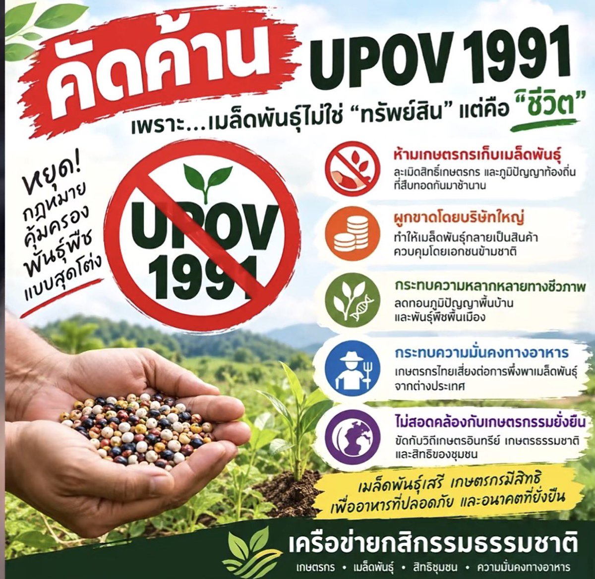Chosita98's tweet photo. #เกษตรกร #สสส รัฐบาลใช้จังหวะชุลมุนน้ำท่วมตอนนี้ในการทำอะไรเกี่ยวกับกับเกษตรกร UPOV 1991 ไม่ใช่เกษตรกรที่จะแค่เสียผลประโยชน์พืชพันธุ์สูงราคาอาหารของเราก็จะสูงไปด้วย

หากไทยเข้าร่วม #UPOV1991 ผลกระทบต่อเกษตรกรรายย่อยตามเอกสารที่ให้มา สรุปได้ 5 ข้อดังนี้
1ห้ามเก็บ แลกเปลี่ยน และขายเมล็ดพันธุ์อย่างเสรี สิทธิผู้ปรับปรุงพันธุ์ครอบคลุมการขยายพันธุ์ เก็บรักษา นำเข้า และส่งออก ข้อยกเว้นเกษตรกรเป็นทางเลือก ไม่บังคับ และจำกัดแค่ปลูกซ้ำในแปลงตนเอง อาจต้องจ่ายค่าธรรมเนียม การใช้ส่วนตัวที่ไม่ใช่การค้าตีความแคบมาก เหลือแค่ปลูกกินในครัวเรือน ห้ามแจกหรือแลกกับเพื่อนบ้าน
2ค่าใช้จ่ายสูงขึ้น และเสี่ยงหนี้สิน ต้องซื้อเมล็ดพันธุ์การค้าซ้ำทุกฤดู ระบบเมล็ดพันธุ์ชุมชนถูกลดบทบาท สูญเสียแหล่งเมล็ดถูกและช่องทางขายเมล็ด ซึ่งเคยเป็นรายได้ครัวเรือน
3บริษัทเมล็ดพันธุ์ข้ามชาติผูกขาดมากขึ้น คุ้มครอง 20–25 ปี ครอบคลุมผลผลิต ผลิตภัณฑ์แปรรูป และพันธุ์ที่ดัดแปลงมา (EDV) เอื้อเกษตรอุตสาหกรรมมากกว่าเกษตรรายย่อย
4ความหลากหลายทางชีวภาพและภูมิปัญญาท้องถิ่นลดลง เกณฑ์ DUS (ความแตกต่าง สม่ำเสมอ คงตัว) ไม่เอื้อพันธุ์พื้นเมือง ไม่บังคับเปิดเผยแหล่งที่มาหรือแบ่งปันผลประโยชน์ จึงเสี่ยงถูกฉวยโอกาสทางชีวภาพ เมื่อเกษตรกรเลิกคัดเลือกพันธุ์เอง ทักษะและพันธุกรรมท้องถิ่นก็หายไป
5กระทบความมั่นคงทางอาหารและสิทธิเกษตรกร ขัดกับสิทธิเกษตรกรใน ITPGRFA และ UNDROP ผู้รายงานพิเศษสหประชาชาติด้านสิทธิในอาหารชี้ว่า UPOV 1991 คุกคามความมั่นคงทางอาหารของรายย่อย และยกไทย อินเดีย มาเลเซีย เป็นตัวอย่างที่ใช้กฎหมายแบบเฉพาะตัว (sui generis) โดยไม่ต้องเข้า UPOV 1991
ใจความรวม: UPOV 1991 ขยายสิทธิผูกขาดเมล็ดพันธุ์จนระบบเก็บ-แลก-ขายของชุมชนถูกจำกัด ต้นทุนสูงขึ้น ความหลากหลายลดลง และอำนาจตลาดกระจุกที่บริษัทใหญ่
 ช่วยกันลงชื่อคัดค้านไม่ให้เกษตรกรทำมาหากินยากขึ้น ข้าวอาหารในอนาคตอาจจะแพงขึ้น