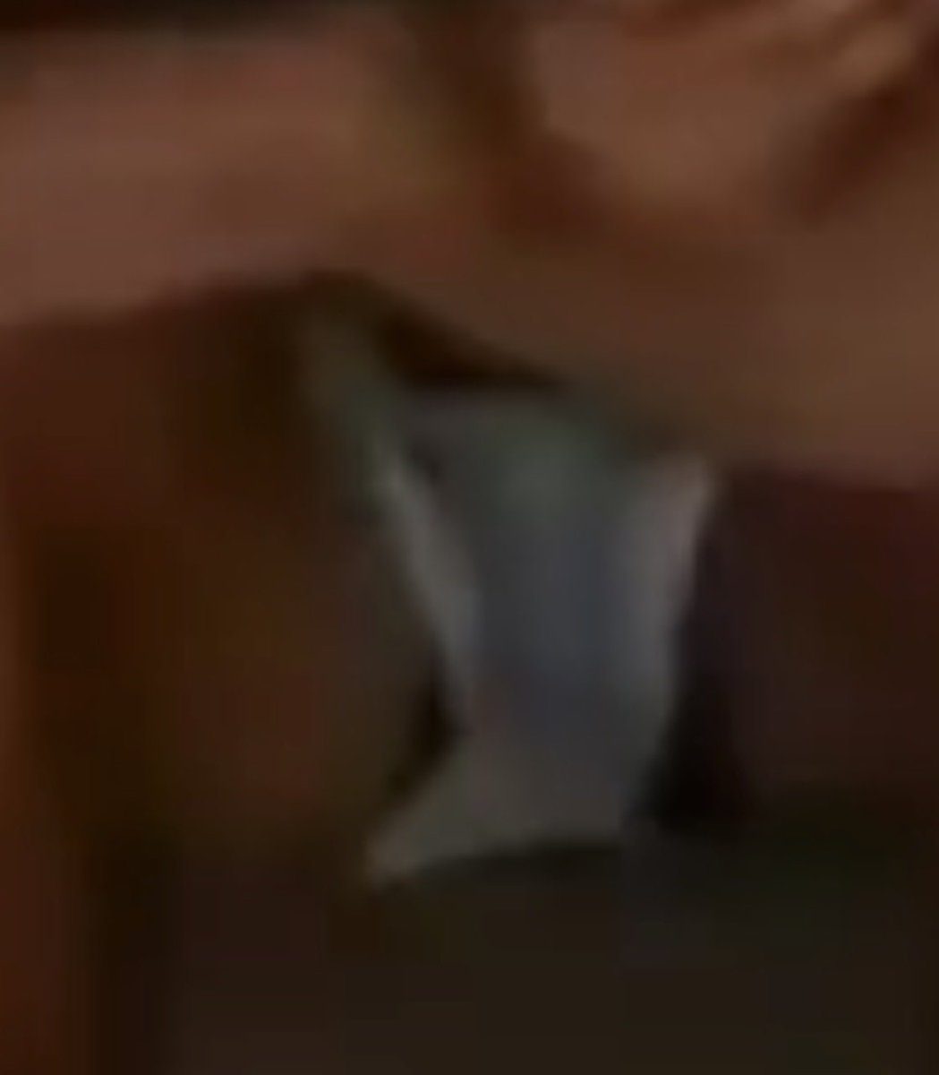 antyo04's tweet photo. @caIysp He got a boner 😉 https://t.co/B78TVU2qal