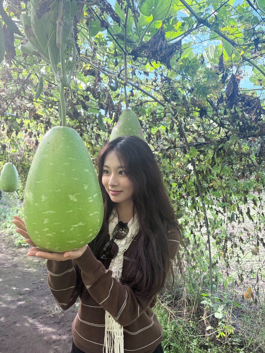 forbibs_'s tweet photo. te amo tanto bixa pateta bobona https://t.co/9FeHkvSEbf