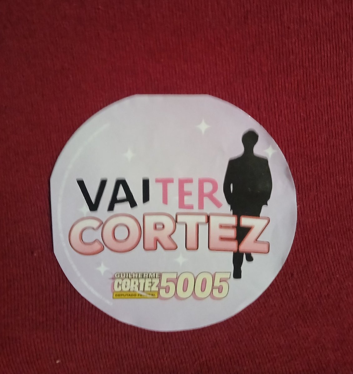 whoismajubis's tweet photo. Votei com muito orgulho @cortezpsol meu deputado FEDERAL!!! https://t.co/ZhxFb5XoDy