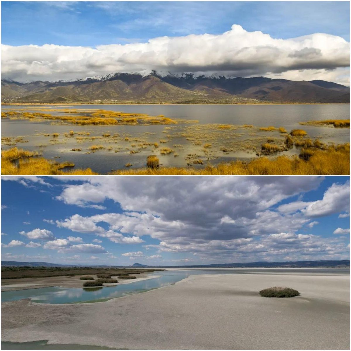 UsUn583176's tweet photo. #Only #murky #ponds #remain: #Greece’s Lake Koroneia—once the country’s fifth-largest lake—has shrunk more than tenfold over the past decade. Scientists attribute the lake's rapid drying up to extreme heat, drought, and excessive irrigation of farmland. https://t.co/6nXMSyI9O9