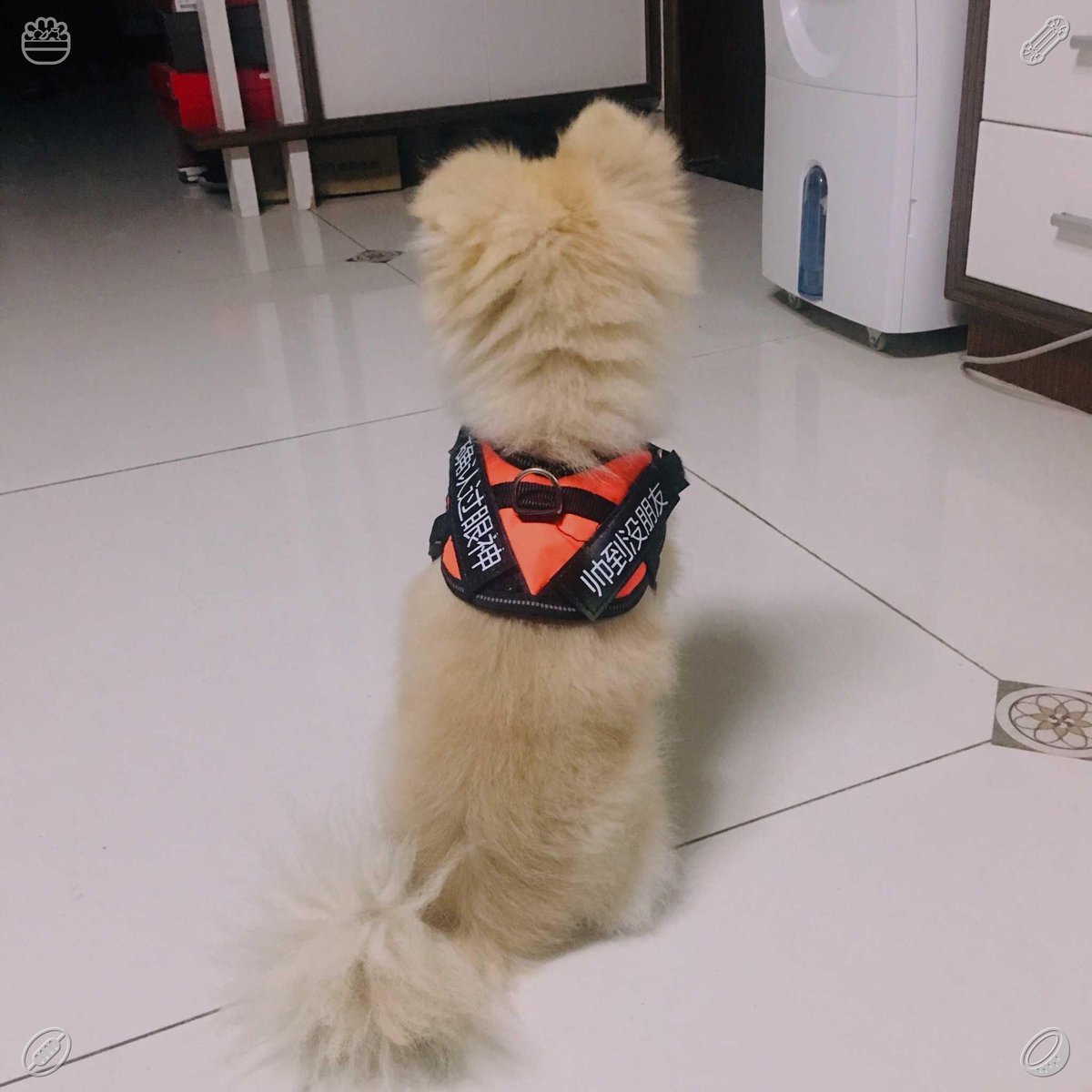 PeeOplus tweet picture