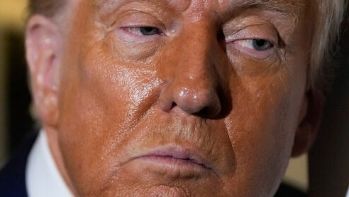 anyonewantchips's tweet photo. We thought Mueller would expose him but Barr lied, or Jack Smith would indict him but Cannon blocked, or Congress would impeach him but McConnell bailed, or the judiciary would hold him accountable but SCOTUS immunized. It’s up to us now to stop him. Vote blue. #BlueWaveIn30Days https://t.co/504e9cTUpd