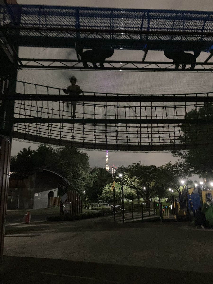 poshi525's tweet photo. 昨日はパパが夕方帰ってきたから思いつきで釣りについて行き、夜の公園を満喫した🛝サイクリングコースはスカイツリーが見えて綺麗だった！冒険みたいでご満悦。 https://t.co/53O1LHdNKS