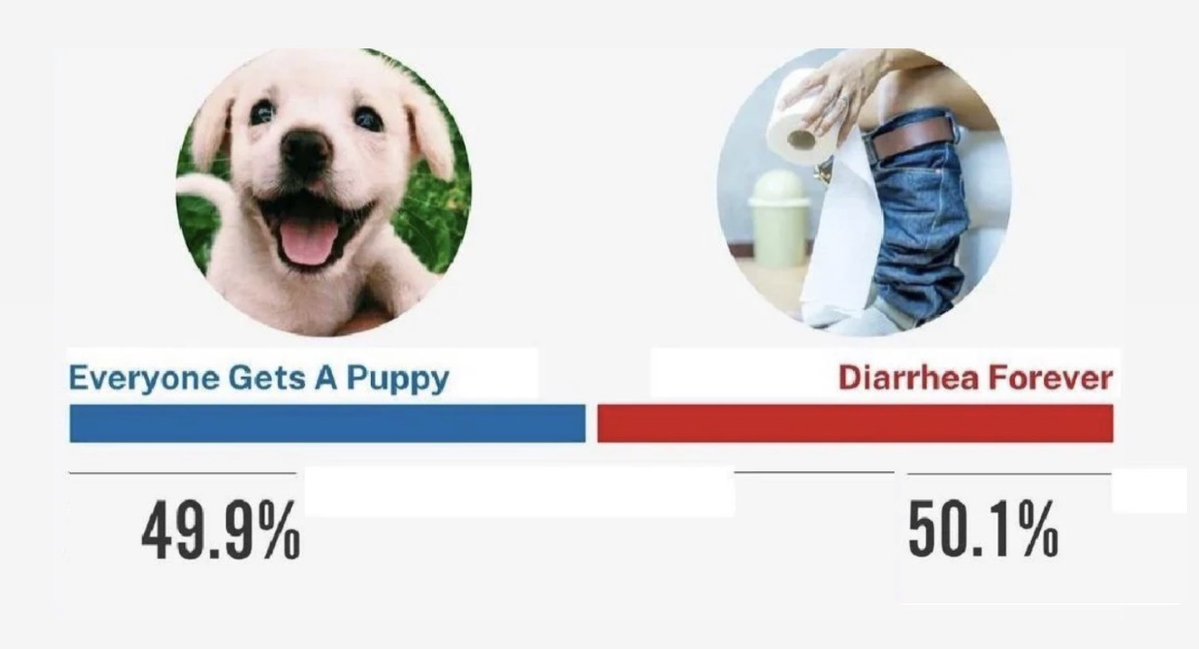 wwxwashere's tweet photo. if you’re wondering how the brazilian election results are coming together, this is the vote count so far: https://t.co/c1l5trI09C