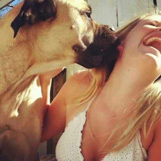 bradleygstaples's tweet photo. Clean pictures here. 🐾
Private content for those who know what they’re looking for.
Link in bio.

https://t.co/5ovqpT5AS6

#FetishCommunity #AdultKink #KinkCommunity #PayPig #Findom #K9 #USA #Trending https://t.co/JEG0NwpMrf