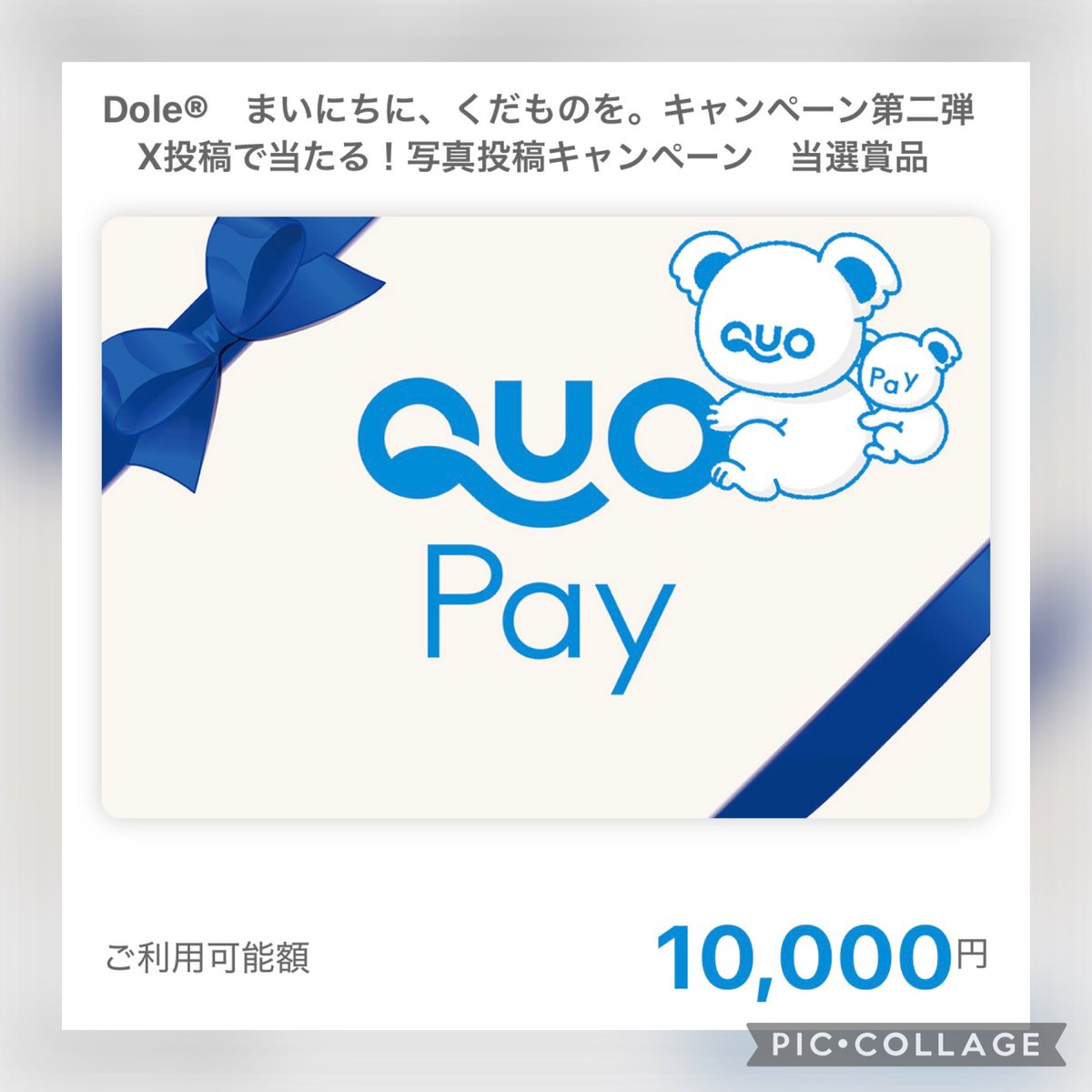 taro6341452nk's tweet photo. 雪印メグミルク 様
@megmilk_snow 

Dole® まいにちに、くだものを。CPにて
QUOカードPay 10,000円分をいただきました🍊

家事や育児の合間に、
これからもおいしく続けていきたいです😊✨

この度はありがとうございます💓 https://t.co/QX720op3da