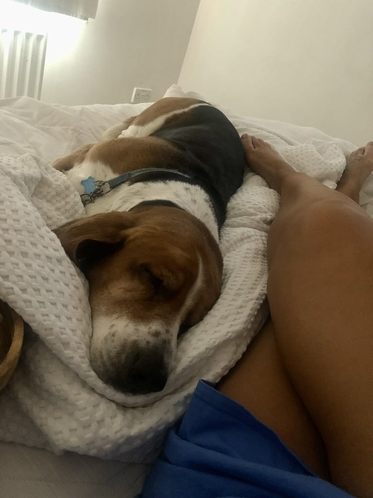 kenisknotty's tweet photo. The best part of every adventure is having a furry friend who’s just as excited to experience it with you 🐾✨ Stay with us and subscribe ⬇️ 
🔗 https://t.co/tOeuWTjFvl
https://t.co/tOeuWTjFvl

#K9 #dogs #USA #UK #Doglovers #Bestiality #dogknotting https://t.co/BcC4JTg1Tv