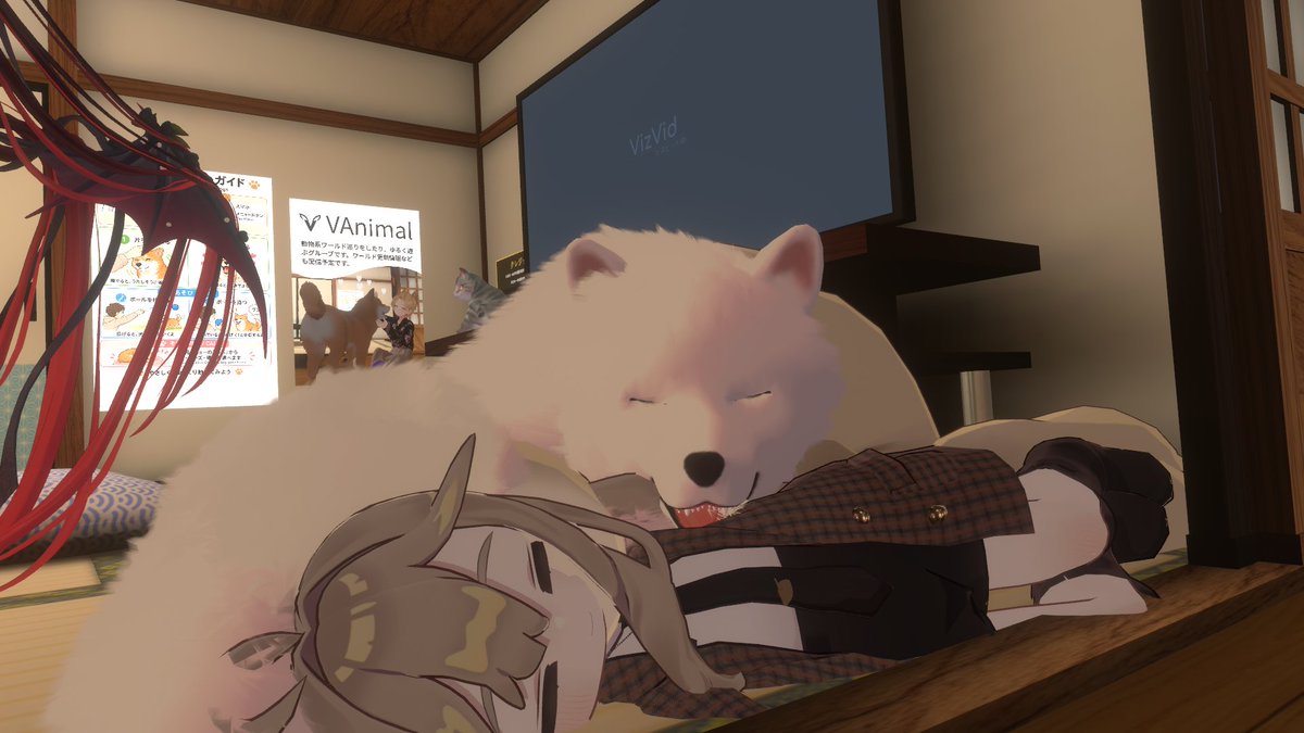 tukune6633's tweet photo. Zzz https://t.co/dpRqtucPe9