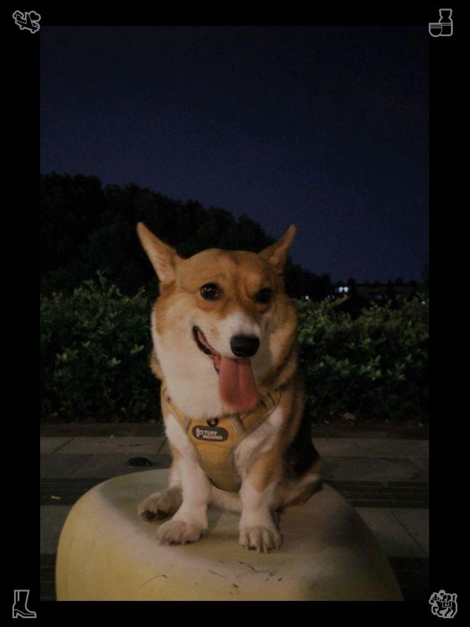 youhei0601a's tweet photo. Gentle balanced daily habits slowly rebuild your authentic inner self, stay loyal to positive small routines and observe soft personal transformation as time passes slowly🎈Life is tough, but so are you. https://t.co/pR0NTA1YNr