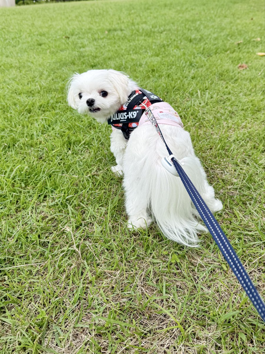 Checo56426648's tweet photo. 自慢の美尻 https://t.co/NL5ure1Ucq