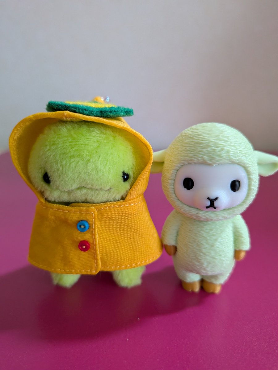 kero_doll's tweet photo. おはケロリ☆

#おはケロリ https://t.co/HPA3LpNoqC