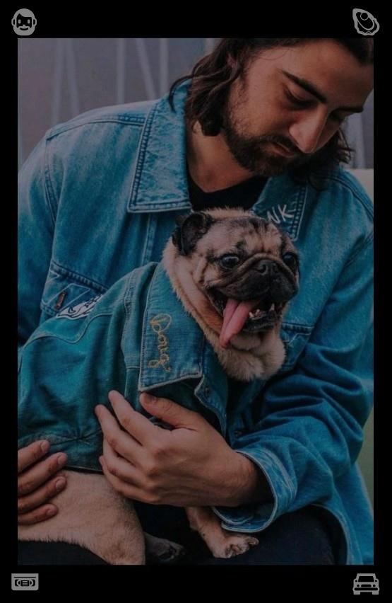 noelzboss's tweet photo. Gentle kittens share quiet leisure time with people without disturbance, coexisting peacefully. This harmonious silent companionship is the most reassuring trivial daily warmth.🌶Create your own sunshine. https://t.co/JSGTEEvCkm