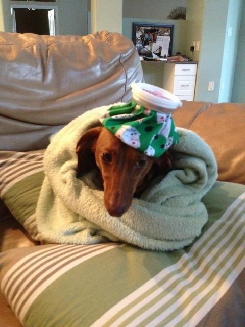 meanwomanlover's tweet photo. had a migraine all day so my mama gonna make me pesto pasta #sick #sickly #brave #sufferinginsilence #oohowieouch https://t.co/075dGJ11wX