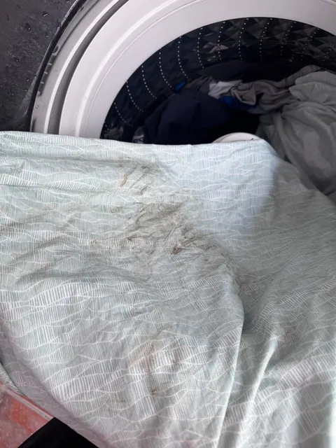 Trafico_ZMG's tweet photo. Reportan que el agua mancha la ropa en la colonia Artesanos, en Guadalajara ⚠️ Este reporte es sobre la calle Eulogio Parra, entre Enrique Díaz de León y Juan N. Cumplido. Ojo a la zona @siapagdl 

#DenunciaZMG https://t.co/GOqoijb7zP
