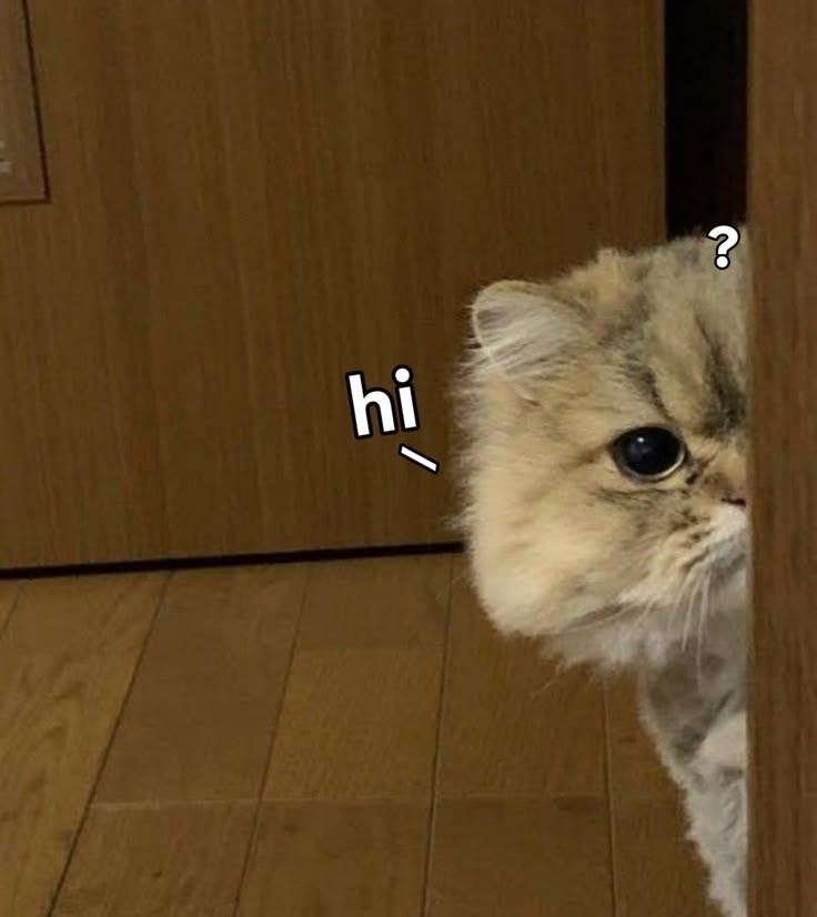 iheerawr's tweet photo. hi? good morning~! cie yang opreg hari ini :3

[ @THECASE00 @subTHECASE00 @BIANCAAcase @BEATRlCEcase @PEARLLcase @LOTTlEcase @ZACHGcase @DANNTEcase ] https://t.co/XCaAB4ZgBO