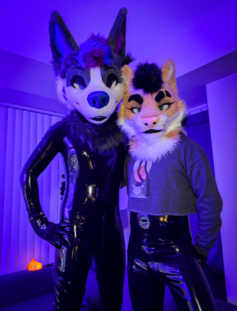 NabiWolfy tweet picture