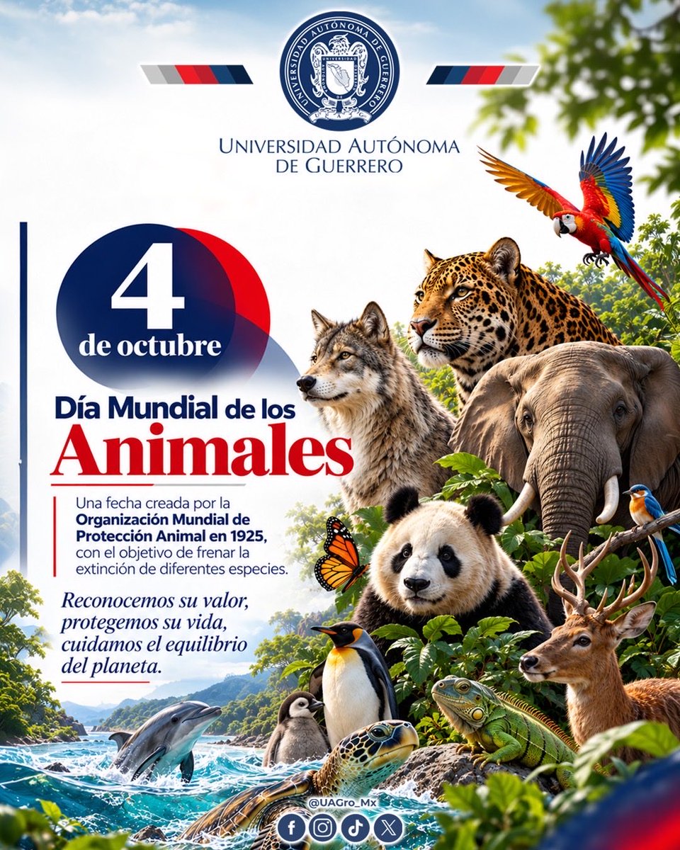 UAGro_MX's tweet photo. 🐾🌎 Compartimos el planeta con millones de especies que hacen de la Tierra un lugar lleno de vida.

En el Día Mundial de los Animales, recordamos la importancia de respetar, proteger y cuidar a todas las especies. 🐶🦋🐆

🌿 Su bienestar también depende de nuestras acciones. https://t.co/6d3DPlG9l9