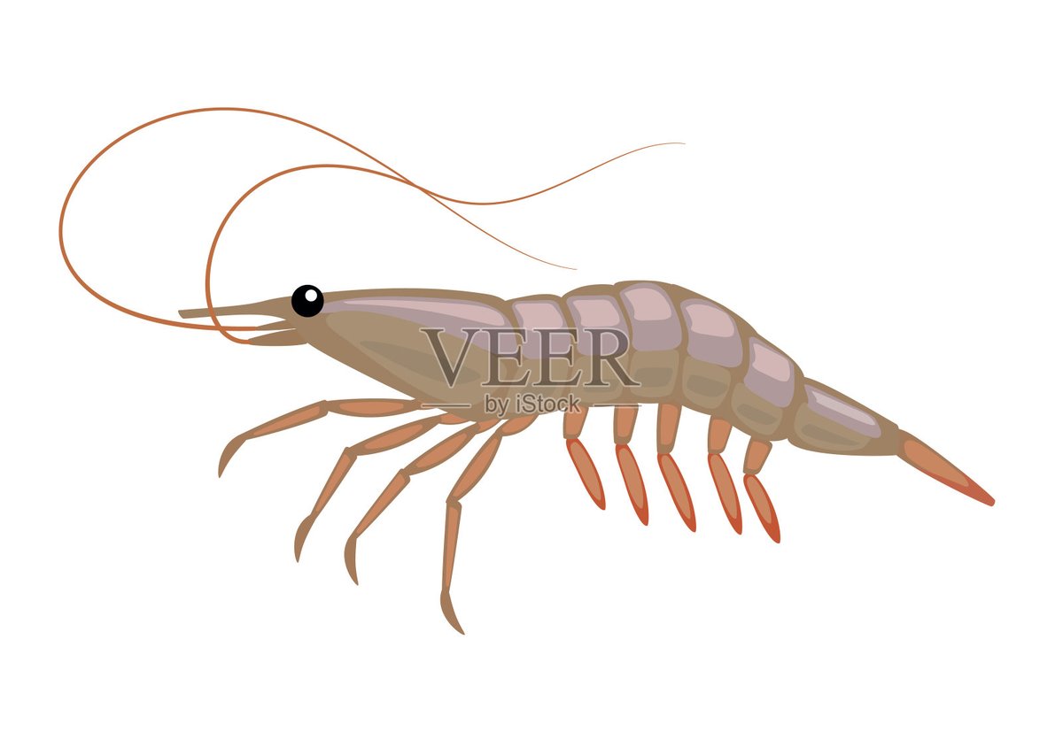 NovitaHumairoh1's tweet photo. [Two shrimps advise Zhai sincerely]， https://t.co/huiAmyfTQh