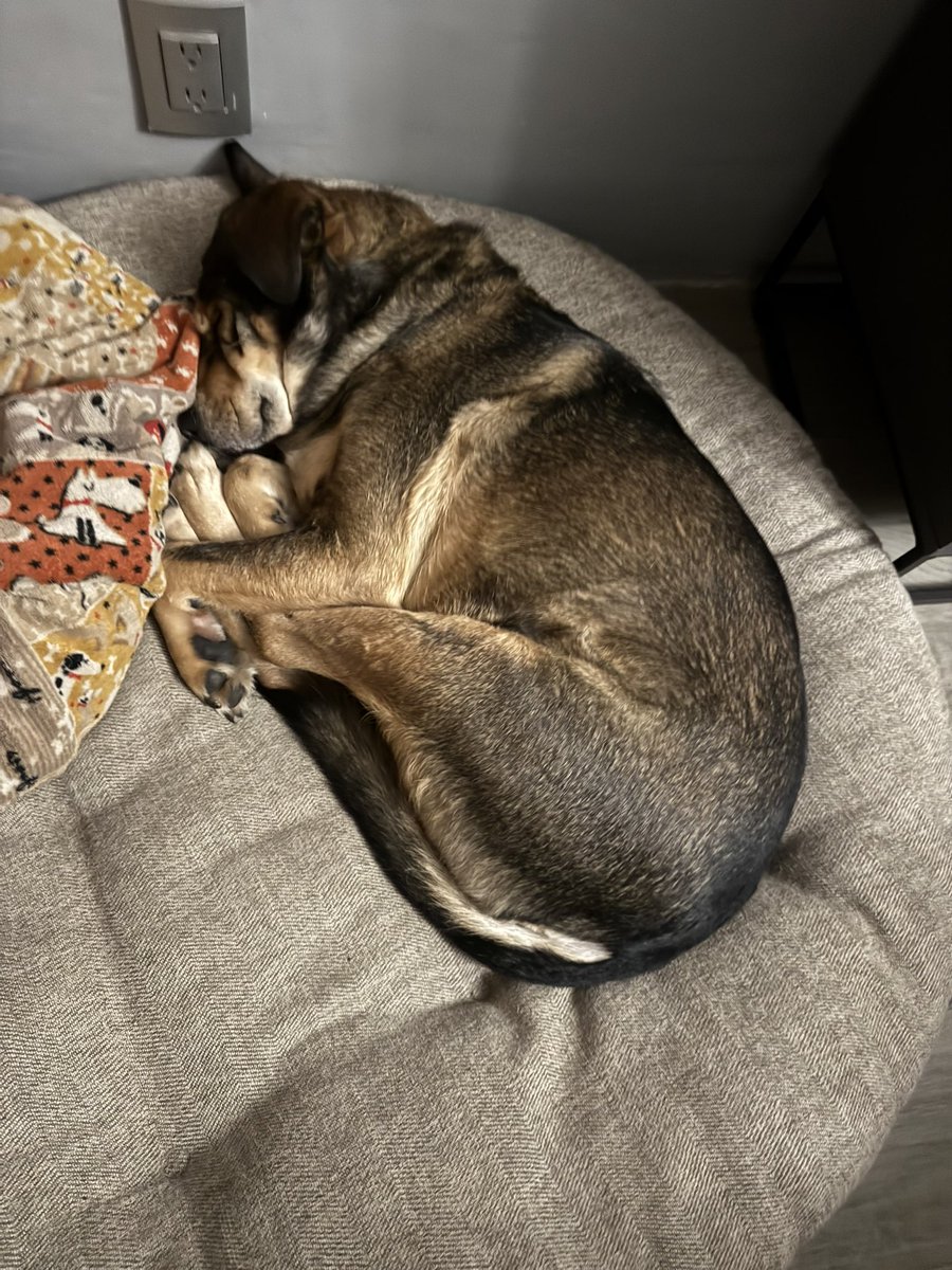 EmilioCadernMne's tweet photo. Estoy recostado en la sala de mi casa. Mi novio está al lado durmiendo un rato en el sillón.

No tengo nada por hacer. Solo estoy aquí, escuchando su respiración y disfrutando del clima. Mi perro está en su camita, reposando también. En un rato llegarán mis papás y todos cenaremos juntos.

Se acabaron los domingos de temer que otra semana venga y todo lo malo que eso pueda implicar.

La vida se ha vuelto buena. Tengo a mi familia entera y un trabajo estable.

Mi versión de 8 años que le temía a los lunes por el bullying en la escuela debe estar muy, muy agradecido de que las cosas sí mejoraron.