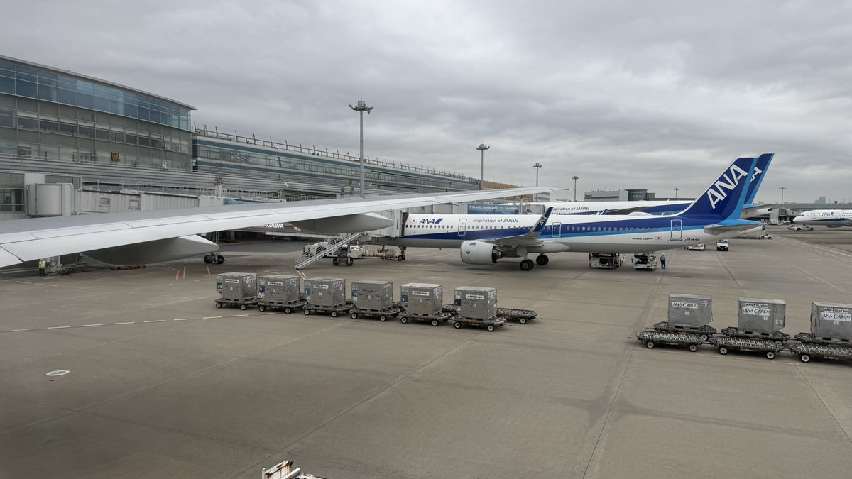 plt_2025student's tweet photo. 🛫flight log🛫
ANA flight 14 to Tokyo Haneda
B777-200ER JA717A
NH14は何回目?となりますが…
エクストリーム通学が再びやってきました。
717Aに乗るのは、改修以降で初です✨
いつもは大阪ベースのクルーですが、今日は東京ベースのクルーでした。
今日も隣来ず、快適でございます。
#JA717A https://t.co/vIbQhBuZOQ