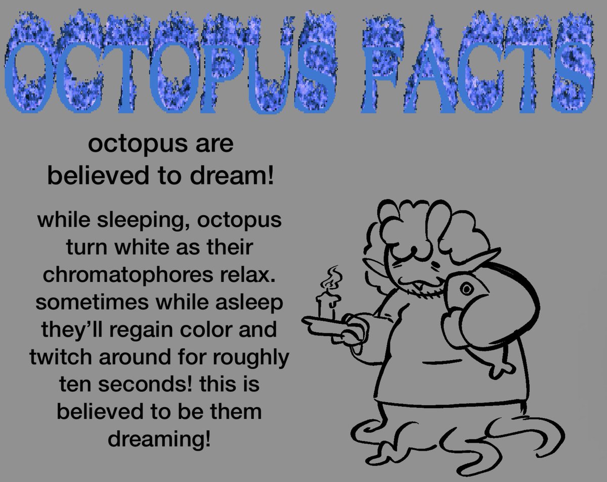 cheekymimic's tweet photo. || had the idea to share octopus facts with cheeky… enjoy maybe more of these occasionally https://t.co/KMc98Cocr1