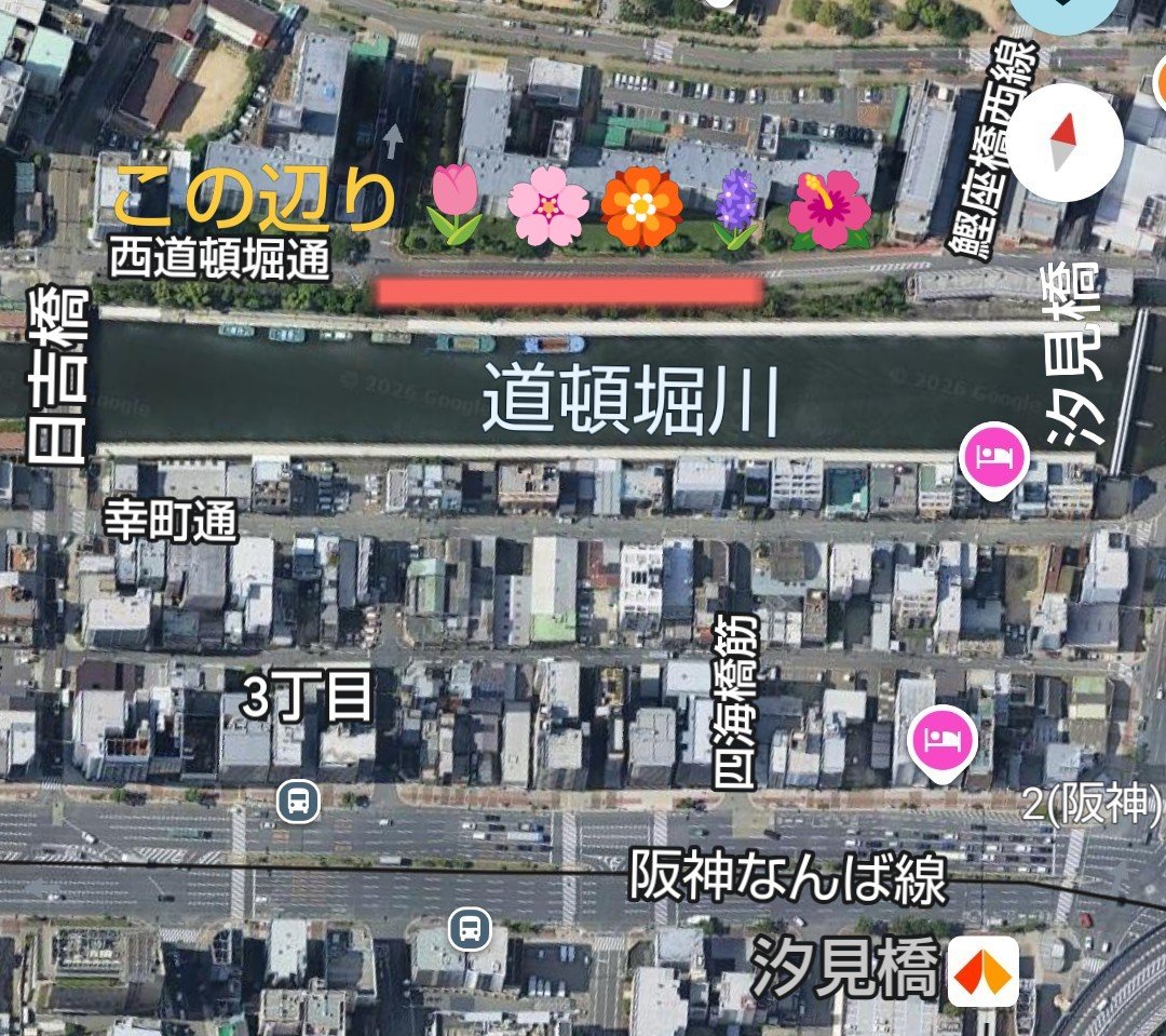 1X1GFjIYIbTDa5w's tweet photo. おはようございます🌂10月5日
#道頓堀川 #汐見橋〜日吉橋
スッキリしない月曜日🗓️

時間がある時、職場まで道頓堀川の北辺の遊歩道を歩きます💐 #お気に入りの遊歩道
よく見かける花々だけど��…
何か…落ち着いて出勤できる🍀

お仕事、行ってらっしゃい💼 https://t.co/70at0fEtJI