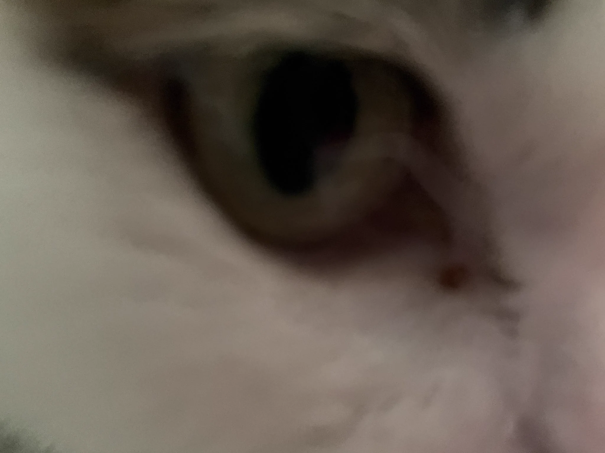 うぐ🍙 on X: 