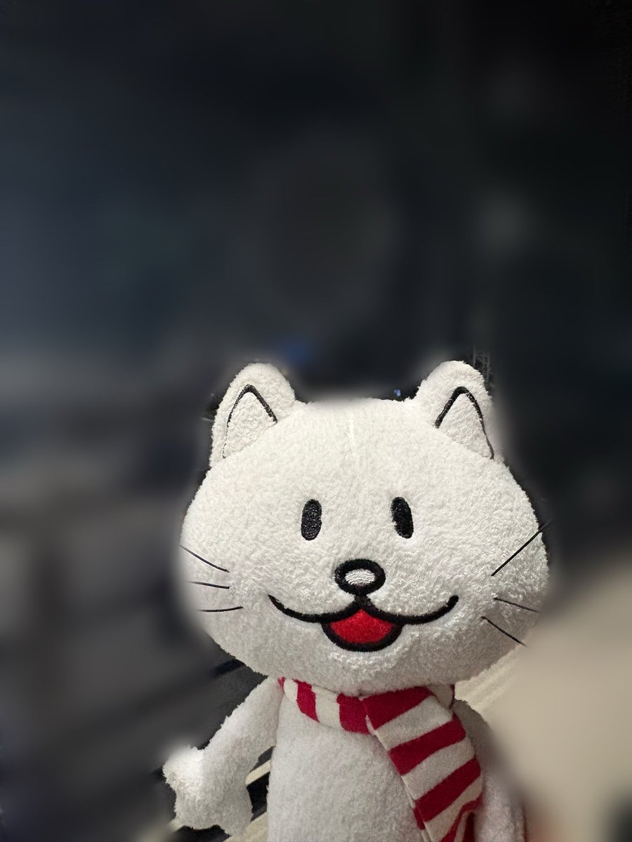miboc0211's tweet photo. 昨日の感想です🐱
⚠️BUMP仙台2日目のネタバレ含みますのでALT閲覧気をつけてください！ https://t.co/H7foOC24RY