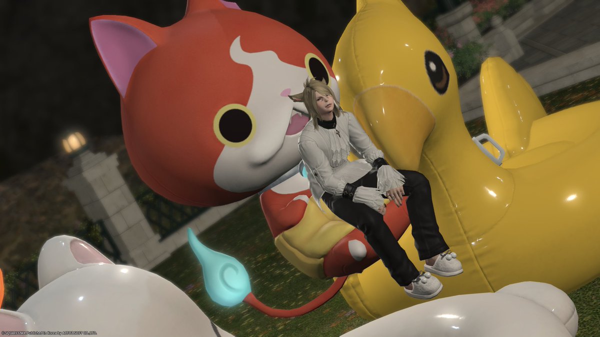 haha5641push's tweet photo. vV https://t.co/WLgMeG6DoF