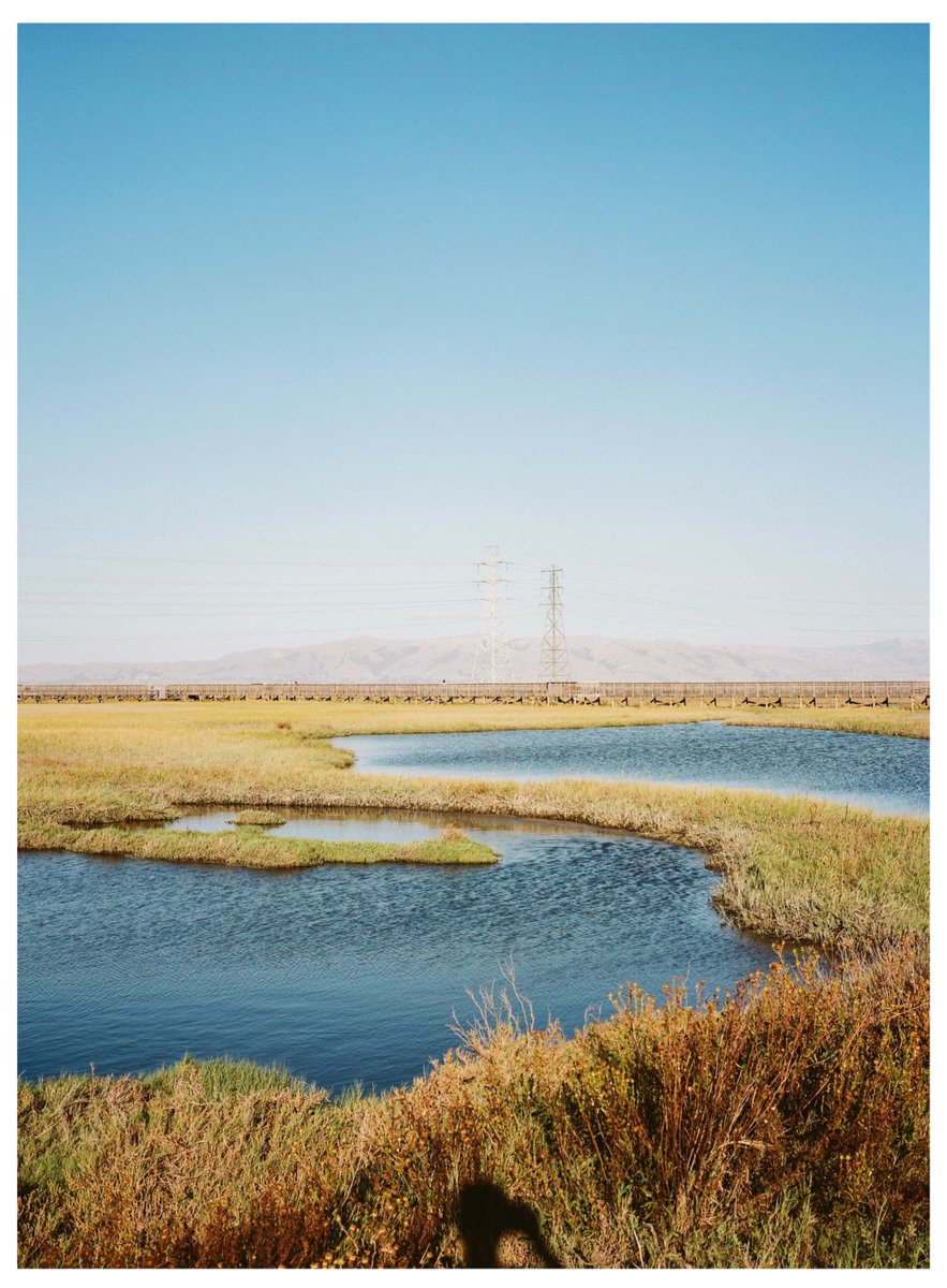 dishk15's tweet photo. Kodak Portra160 https://t.co/fzQOmlMMnf