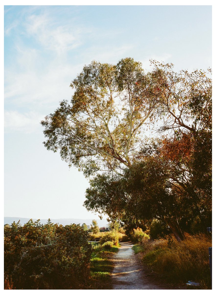 dishk15's tweet photo. Kodak Portra160 https://t.co/fzQOmlMMnf