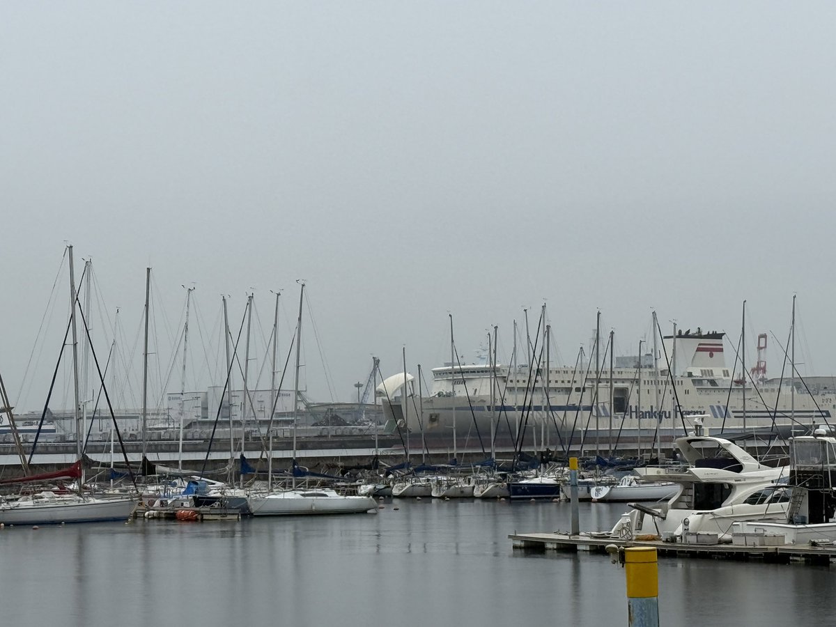 oceanmarine00's tweet photo. おはようございます！
本日の泉大津市は弱い雨が降っています。
今日は1日降ったり止んだりの天気予報なので傘があれば便利です。
今週も頑張っていきましょう！！
＃イマソラ　＃泉大津市
＃企業公式が地元の天気を言い合う
 #レモンの日
 #時刻表記念日 https://t.co/ex1c14bEWP