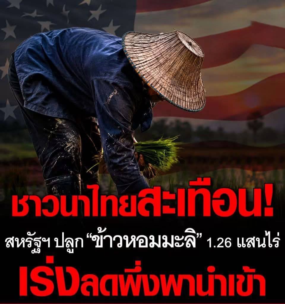 sweetie_janny's tweet photo. แค่น้ำท่วมนาก็พอแรงแล้ว !!!
อนาคตชาวนาไทย🥹 https://t.co/4sXFR5Khb9