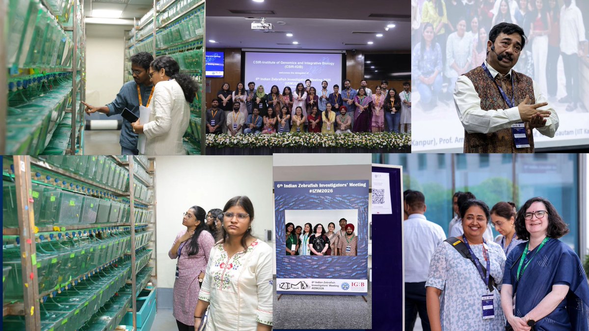 IGIBSocial's tweet photo. IZIM 2026 - the 6th Indian Zebrafish Investigators’ Meeting brought together researchers from India and across the world for three days of exciting science, discussions and collaborations around using zebrafish as a model system to answer biological questions.

#izim2026 

@ChetanaX @tnv_lab @shruthy_suresh @SouvikM29933298 @CSIR_IND