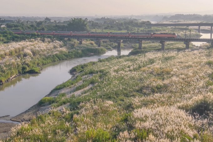 A scenic landscape photograph captures a red train crossing a bridge over a winding river, with tall feathery grass (susuki/pampas grass) covering the riverbanks under a hazy sky.