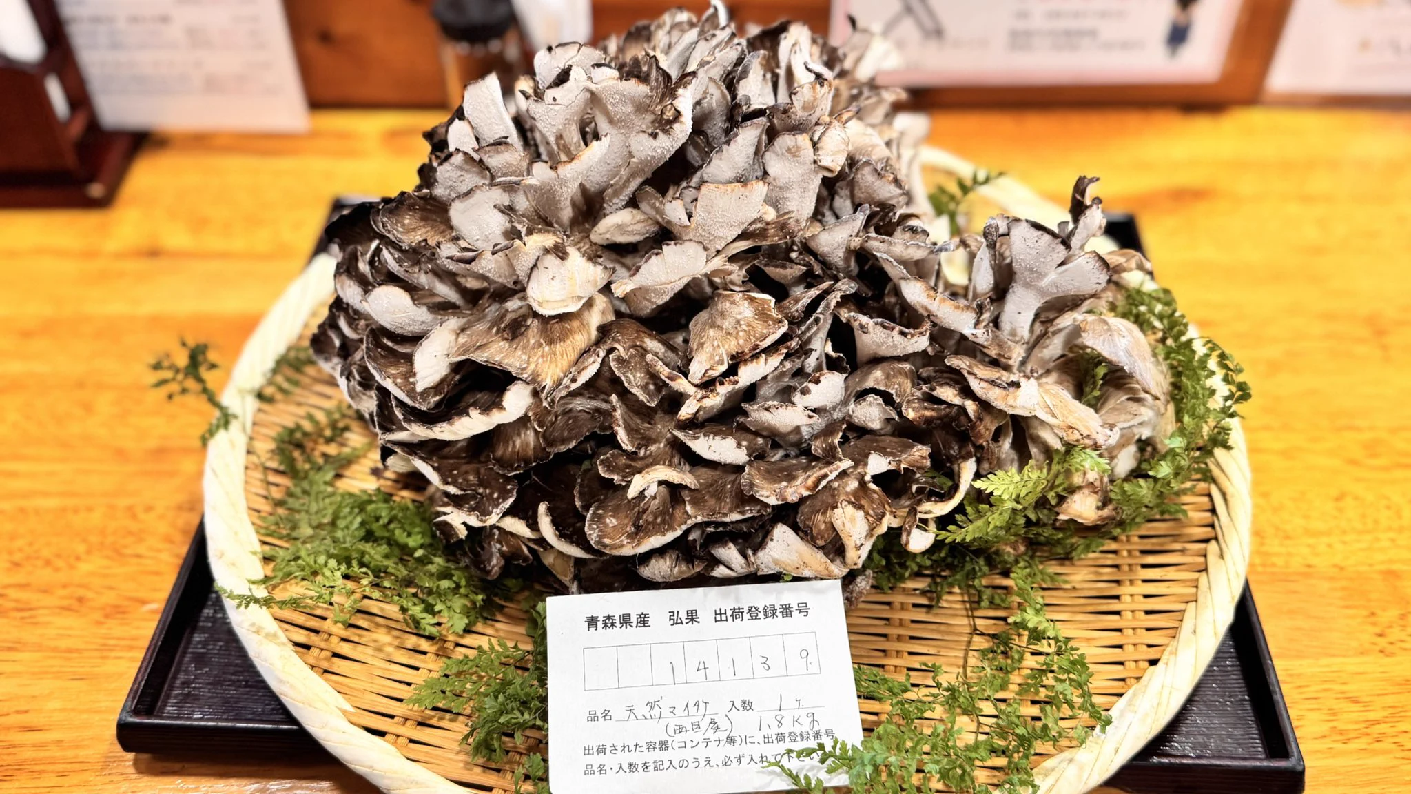 希少　貴重　天然　マンネンタケ　 採りたて　★青森産　超お買い得★ 食事処「秋田や」@八潮で美味しいお米と日本酒を on X: 