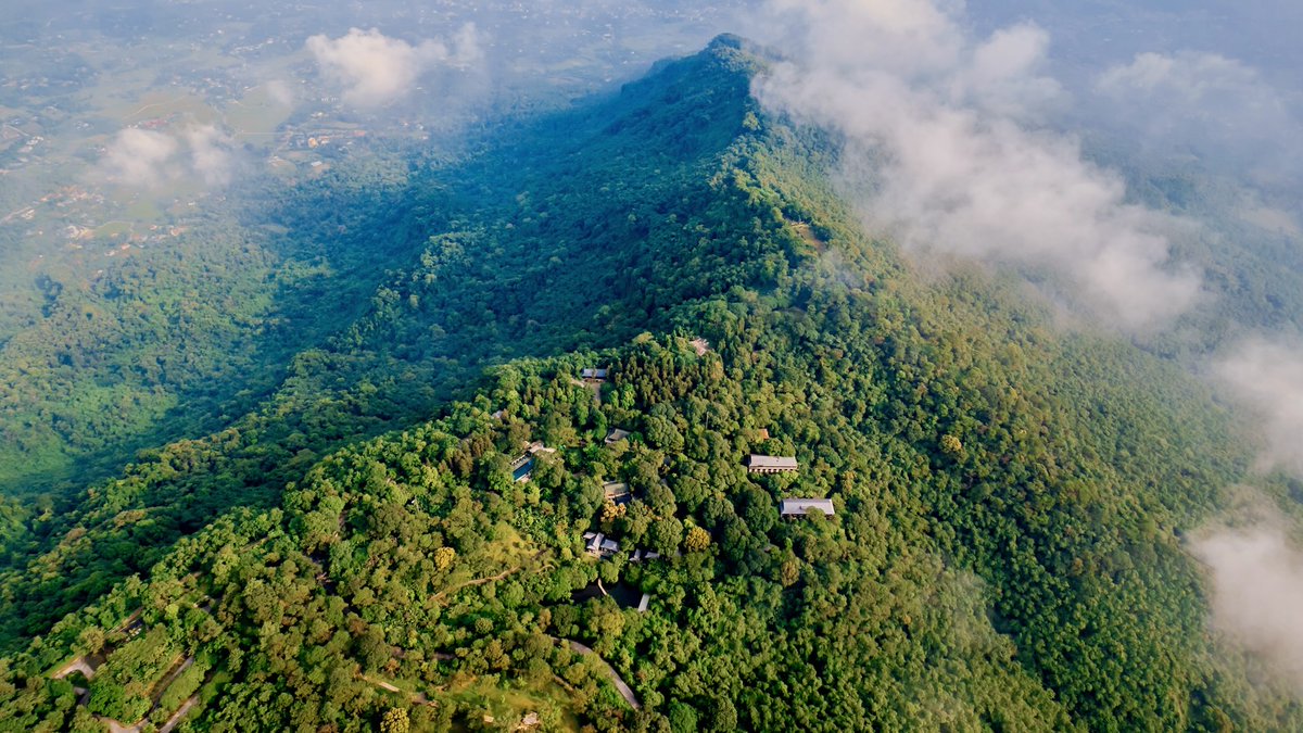 KimCastanedaa10's tweet photo. At Melia Ba Vì, LV World Run Hanoi brought the team together for a purposeful journey through forest paths, misty air, historic French ruins, and the calm spirit of Tan Vien Peak. https://t.co/8fiEZB1qby