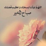 Photo by منال العتيبي (@mnalf511)