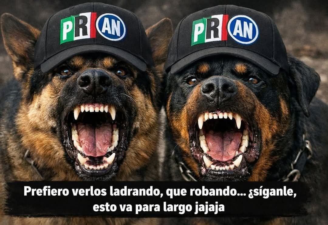 javier63811's tweet photo. @YoSoyLaTellez @Dolores_PL https://t.co/s6MDXg3jCW