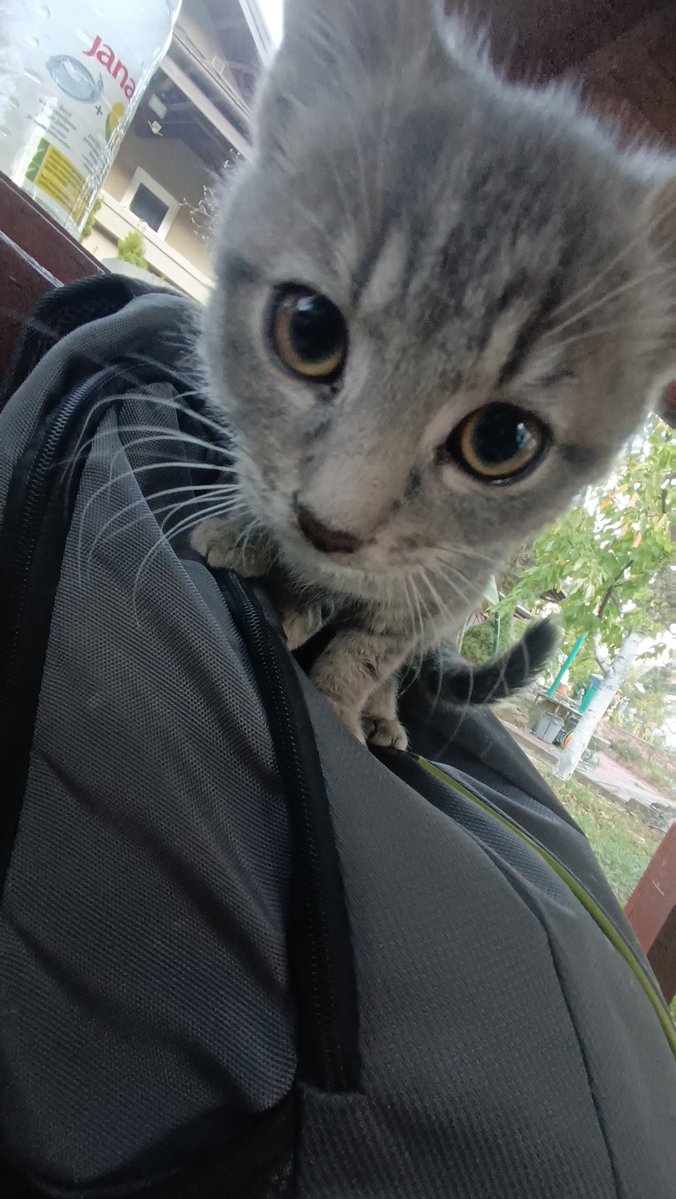 askafaskahaska's tweet photo. she came to send me off to my first day of uni https://t.co/71qKLrnj5z