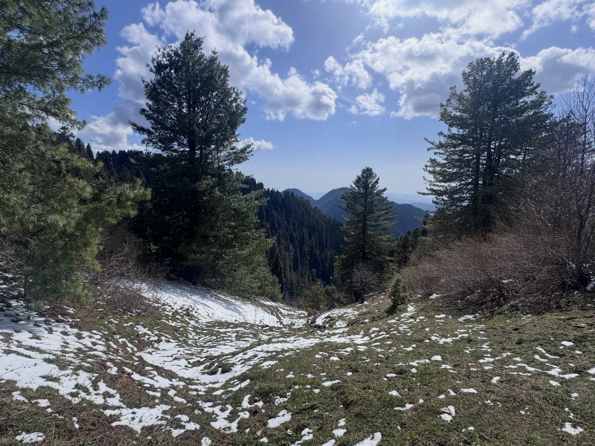 jimelove22's tweet photo. Nathia Gali, Pakistan — April 10, 2026: Melting snow and pine forests line the trail, while mountain ridges fade into the valley haze. https://t.co/Lfp3NTGJFk