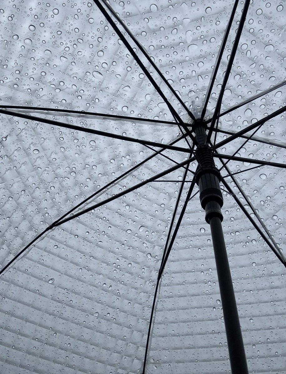 ____Ulllloo's tweet photo. 비오는날에 키스하는거 환장함🌧️ https://t.co/k7PZVnWCaC