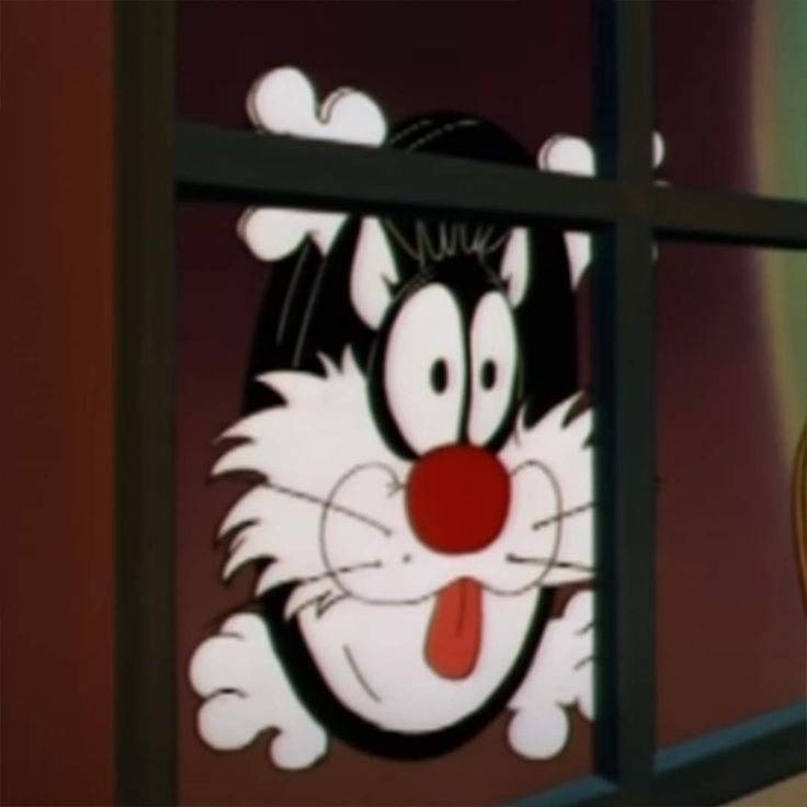 Honey_4lien's tweet photo. POR FAVOR ADMIREN LO LINDO QUE ES SILVESTRE AAAAAA #sylvester #silvestre https://t.co/65SdyIIHU9