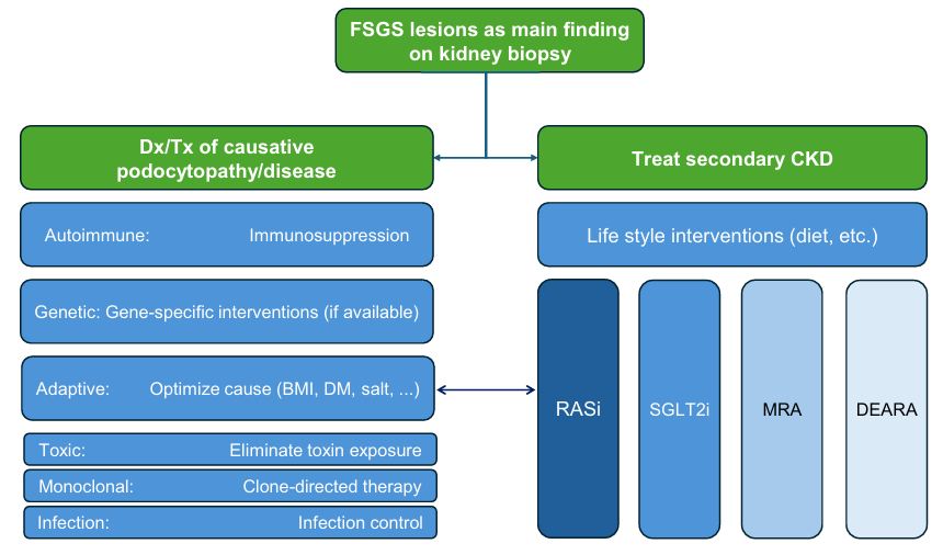 hjanders_hans's tweet photo. Now open access in @NDTsocial

How to treat “FSGS”? A conceptual framework 

🧐This concept helps navigating “FSGS”at kidney  biopsy by respecting its need for CKD care + the diagnostic workup needed to identify the correct Tx for causative diseases.

▶️https://t.co/At0HgHhYem https://t.co/5dRcmAwbL2