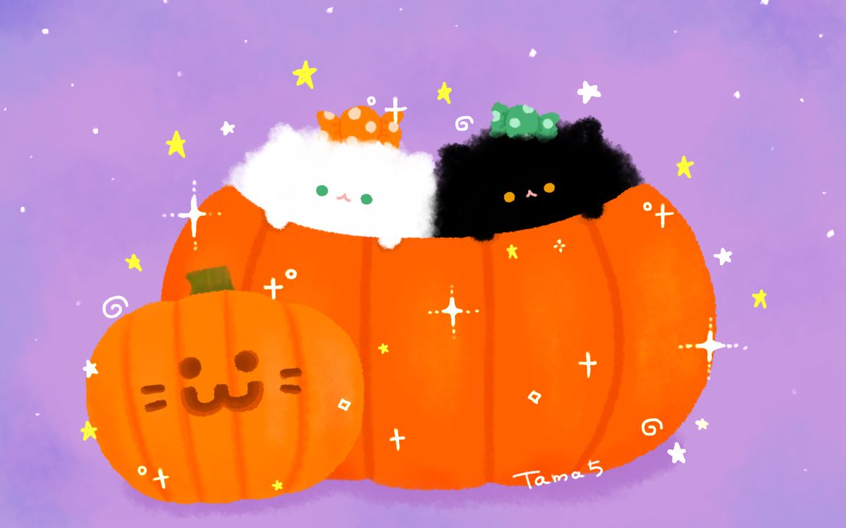 tamagom5m5's tweet photo. 🎃⭐️𓂃꙳⋆ https://t.co/oGNaYTUyO9