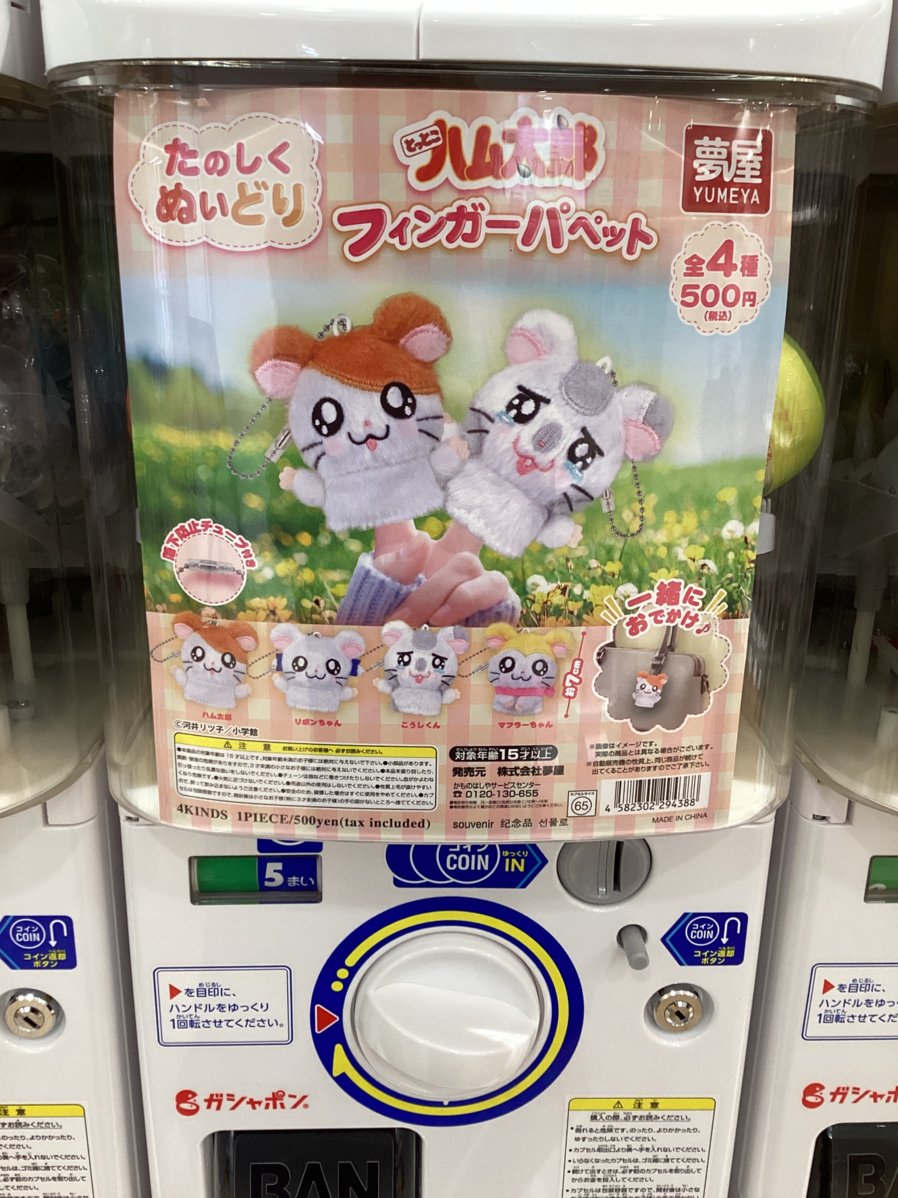 gashacoco 公式X（本部）の入荷情報の写真
